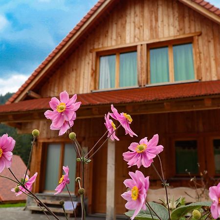 Dolomiti Village Comeglians Eksteriør bilde