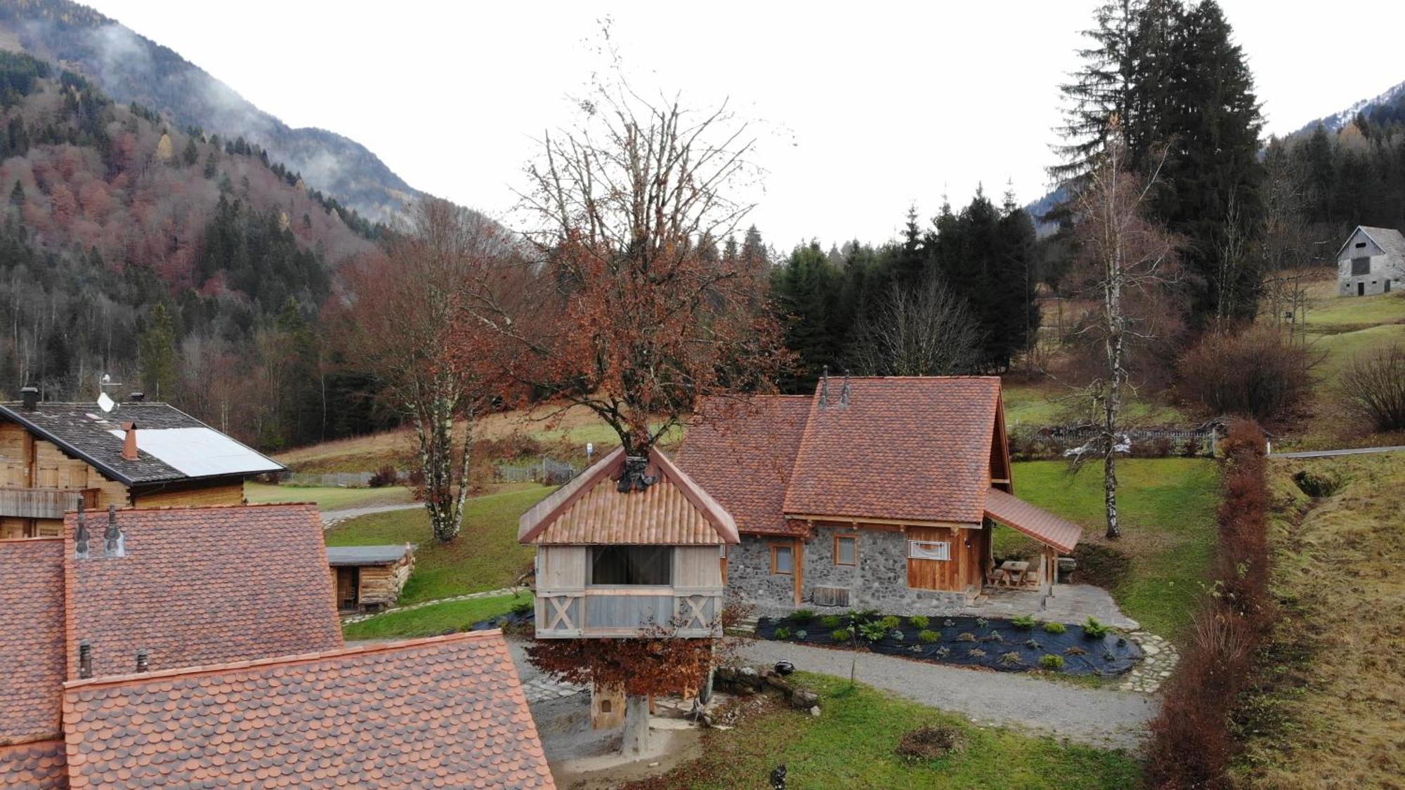 Dolomiti Village Comeglians Rom bilde