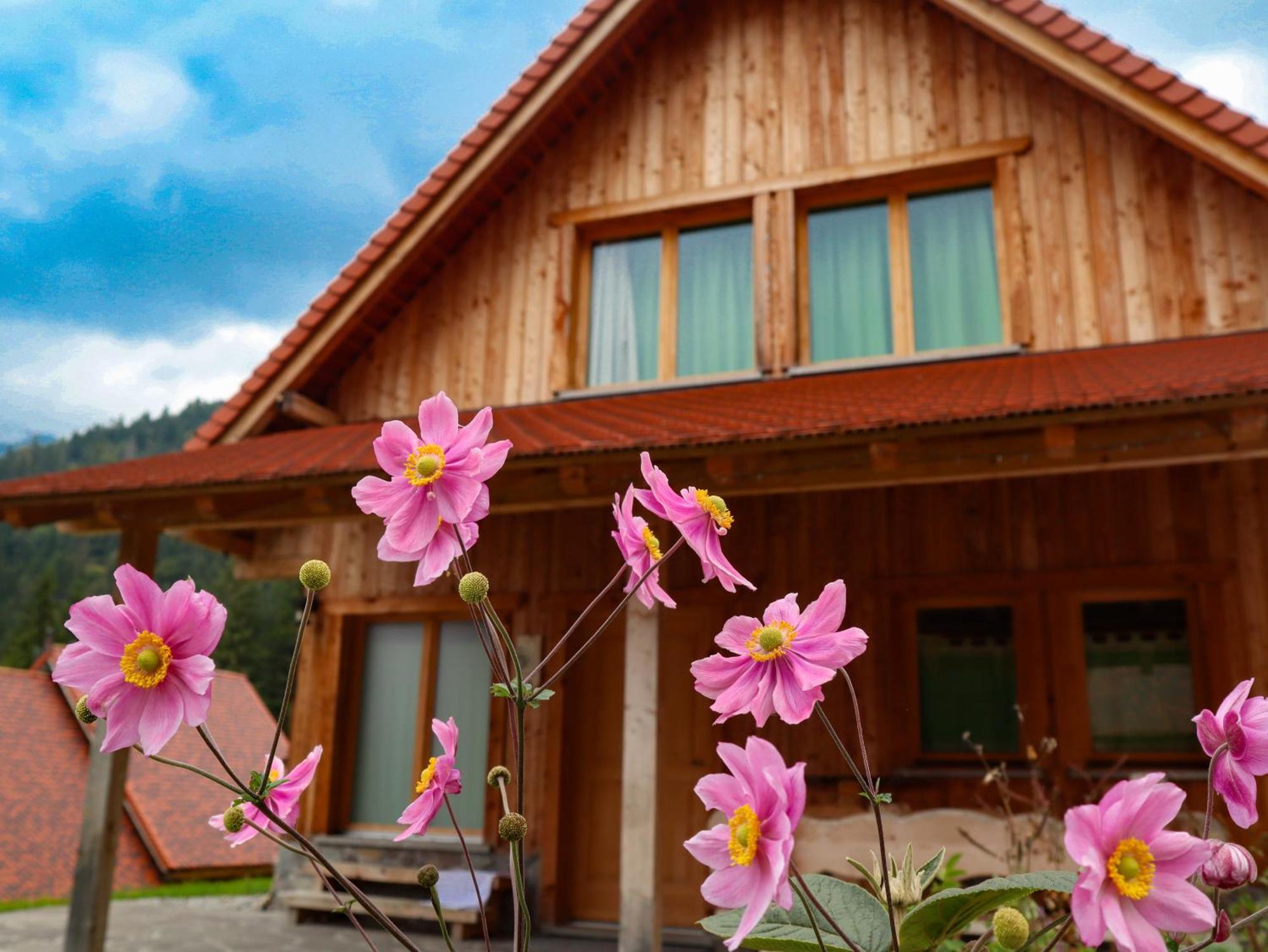 Dolomiti Village Comeglians Eksteriør bilde